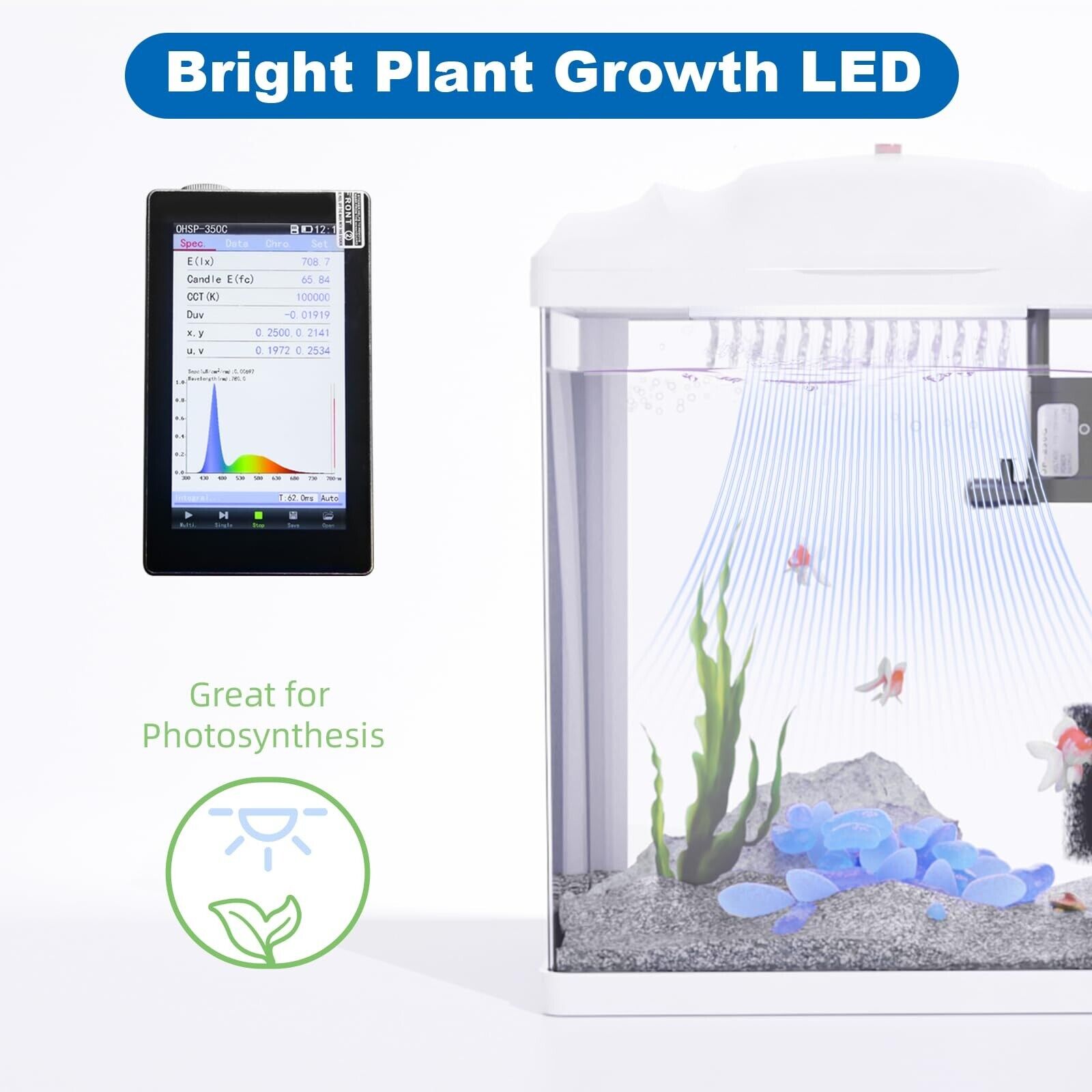 2 Gallon Betta Fish Tank with Filter & Light