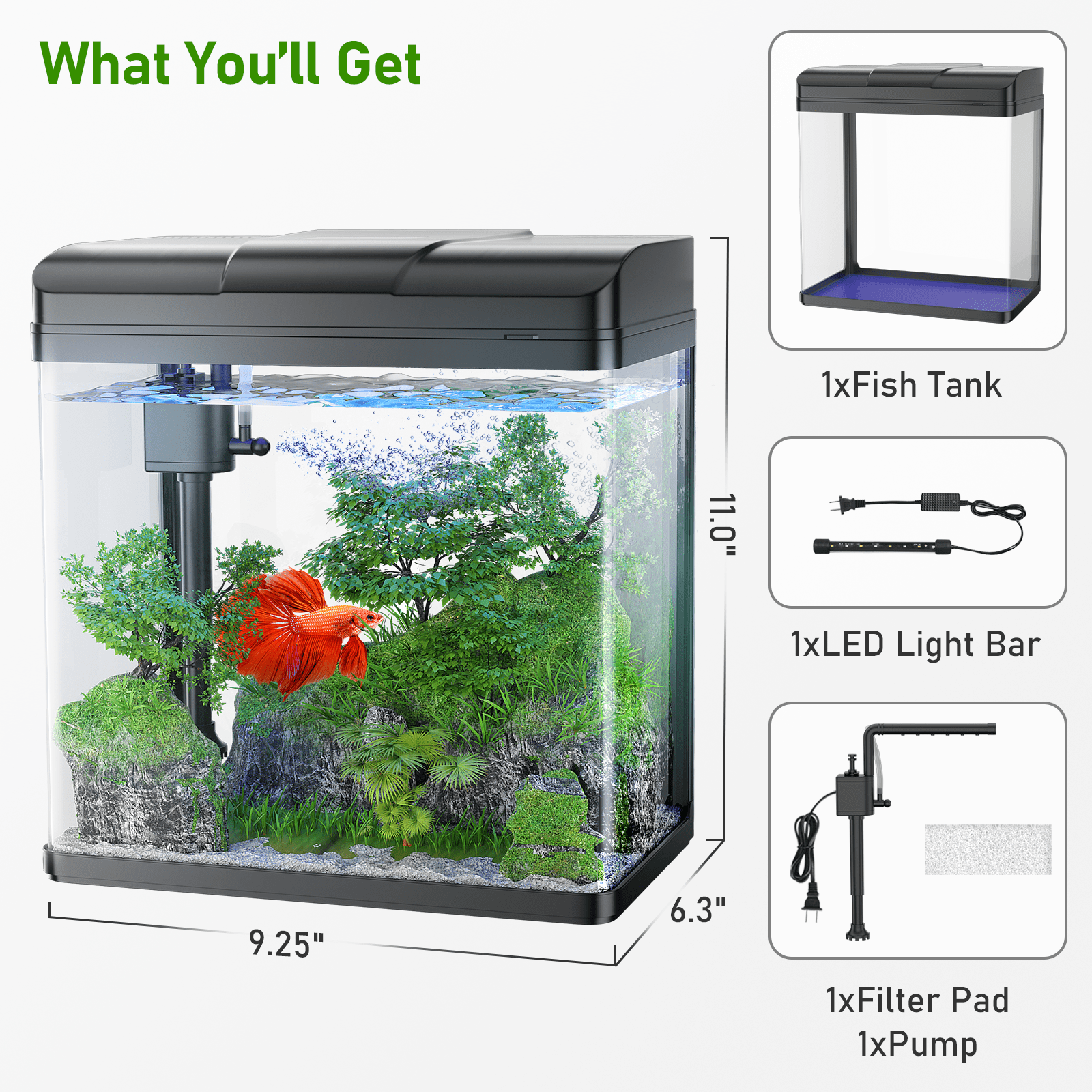 1.7 Gallon Glass Aquarium with Pump and Light