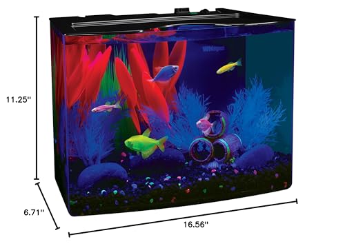 GloFish 5-Gallon Crescent Aquarium Kit with LED