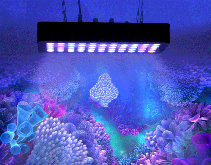 Phlizon 165W Full Spectrum LED Aquarium Light