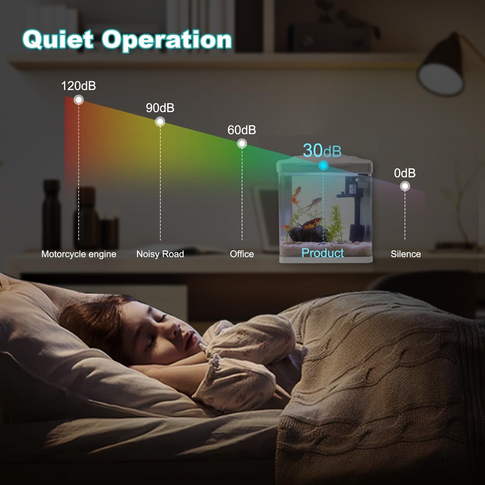 2 Gallon Betta Fish Tank with Filter & Light