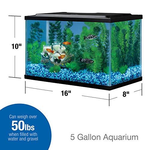 Tetra 5.5 Gallon Rectangular Glass Aquarium