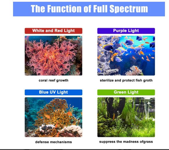 Phlizon 165W Full Spectrum LED Aquarium Light