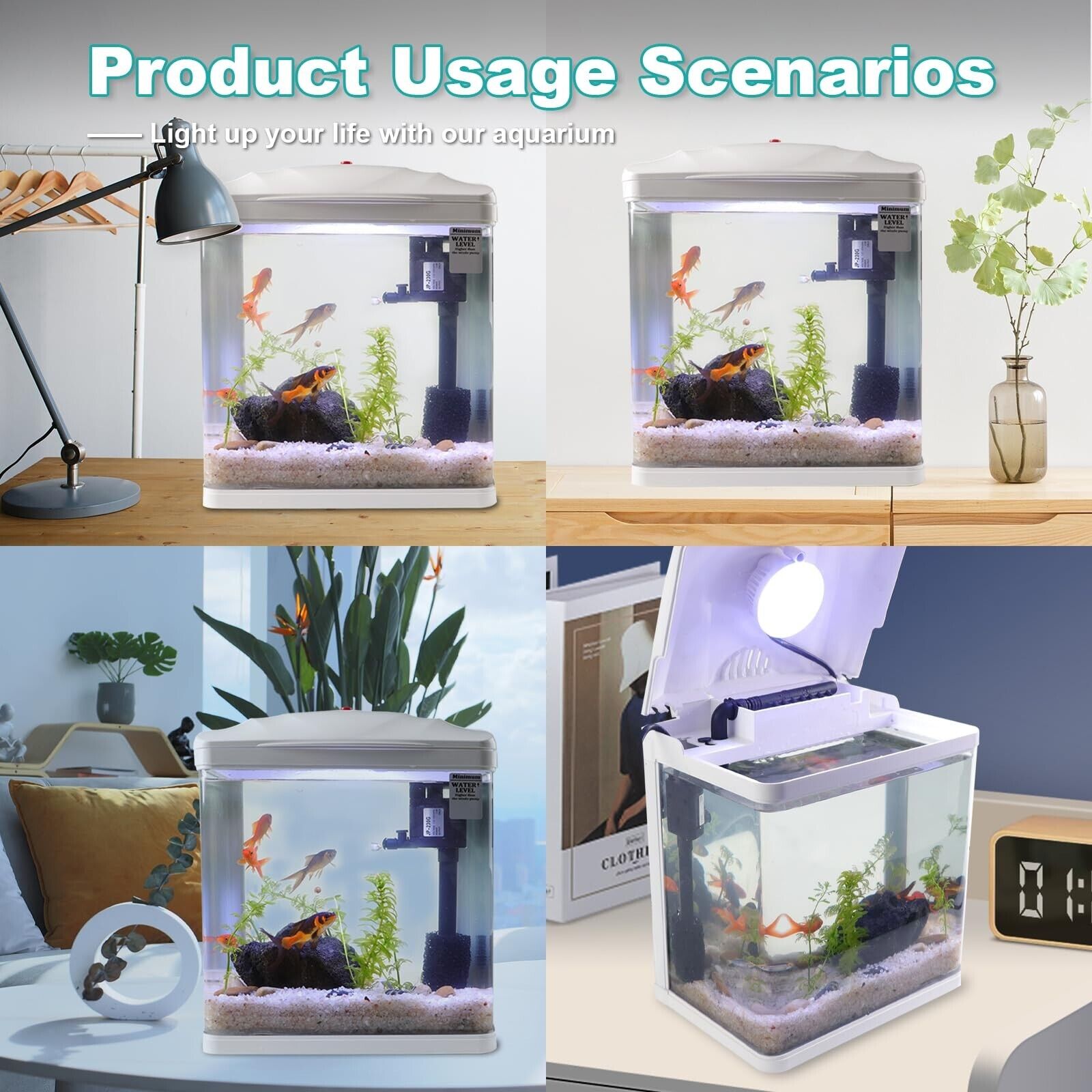 2 Gallon Betta Fish Tank with Filter & Light