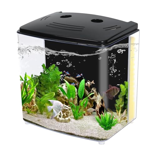 AQUANEAT 1.2 Gallon LED Betta Fish Tank