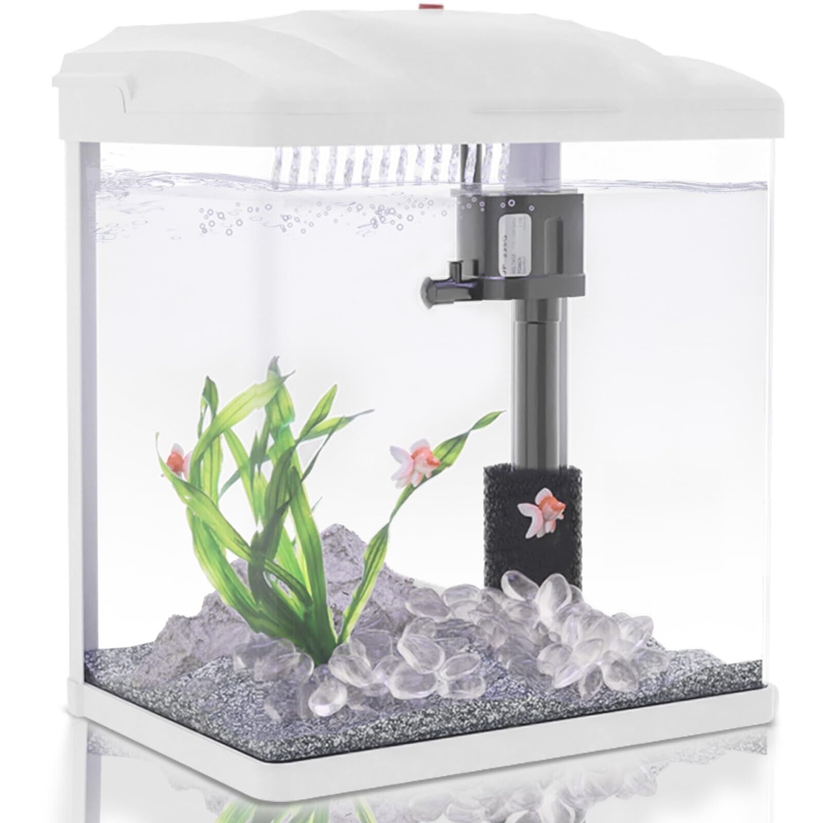 2 Gallon Betta Fish Tank with Filter & Light