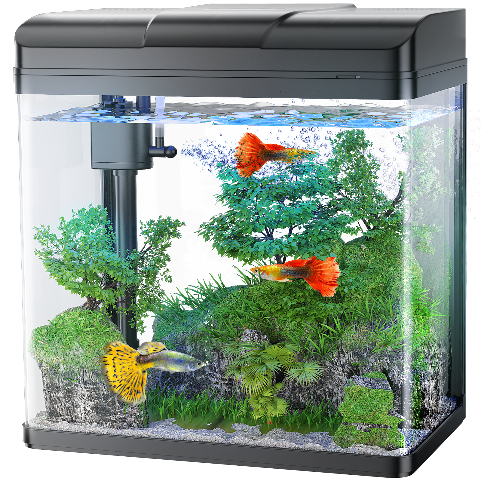 1.7 Gallon Glass Aquarium with Pump and Light