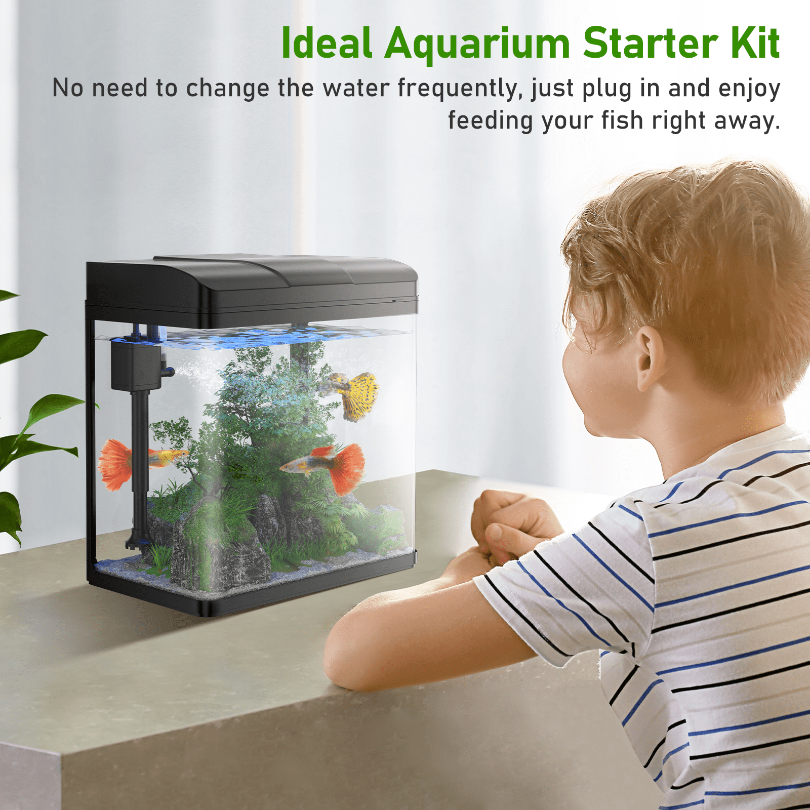 1.7 Gallon Glass Aquarium with Pump and Light