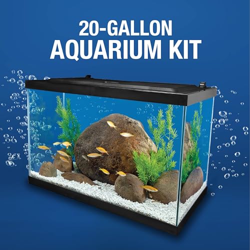 20 Gallon Complete Tropical Fish Tank Kit