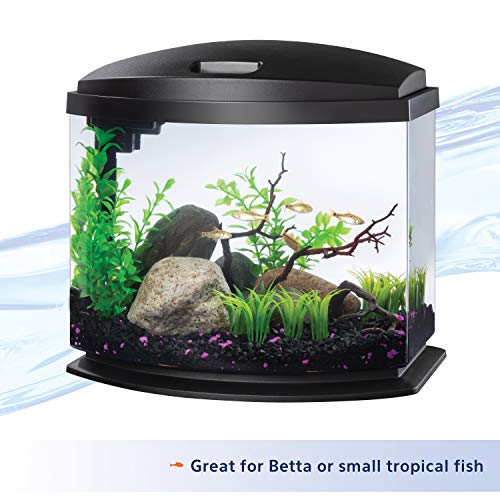 Aqueon 5 Gallon LED MiniBow Aquarium Kit