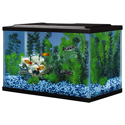 Tetra 5.5 Gallon Rectangular Glass Aquarium