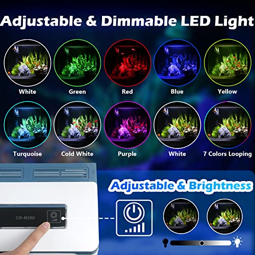 2 Gallon Self-Cleaning Glass Aquarium with LED Light