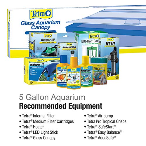 Tetra 5.5 Gallon Rectangular Glass Aquarium
