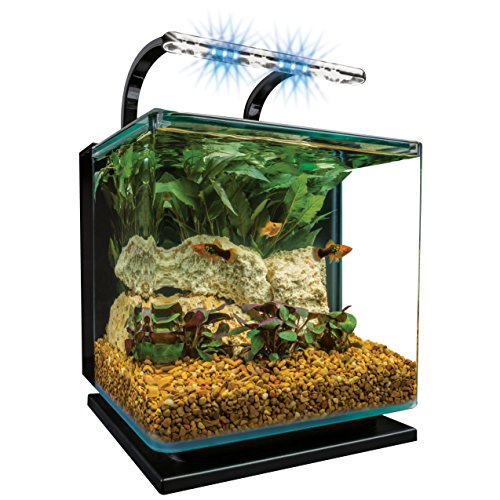 MarineLand Contour Glass Aquarium Kit with Light