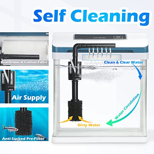 2 Gallon Self-Cleaning Glass Aquarium with LED Light