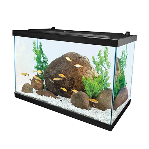 Tetra 20 Gallon LED Tropical Fish Tank Kit