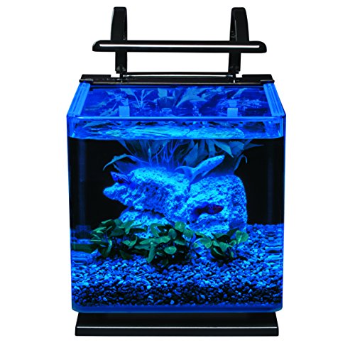 MarineLand Contour Glass Aquarium Kit with Light