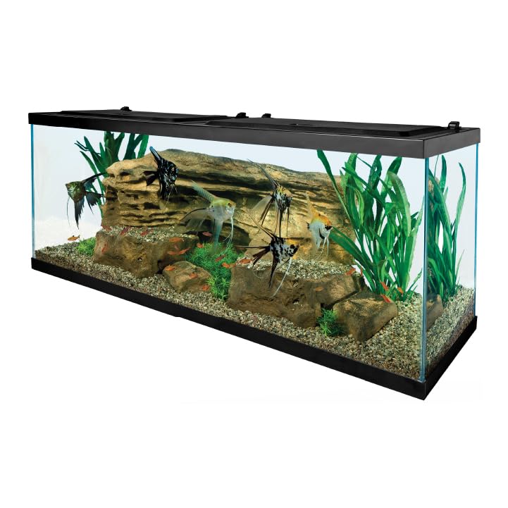 Tetra Complete LED Aquarium Kit for 55 Gallons