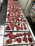 Freeze Dried Filet Mignon Steaks for Testing