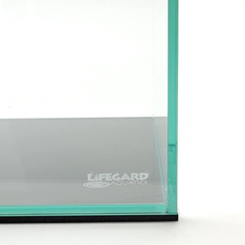 Lifegard 10 Gallon Rimless Clear Glass Aquarium