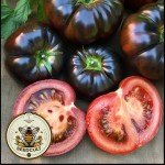Black Beauty Beefsteak Tomato Seeds - Heirloom Non-GMO