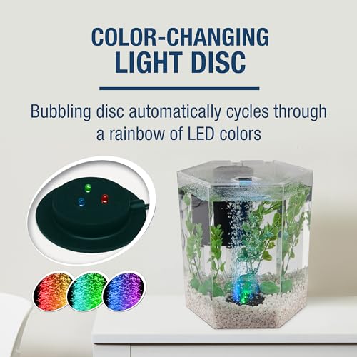 Hexagon Tetra LED Aquarium Kit, 1 Gallon