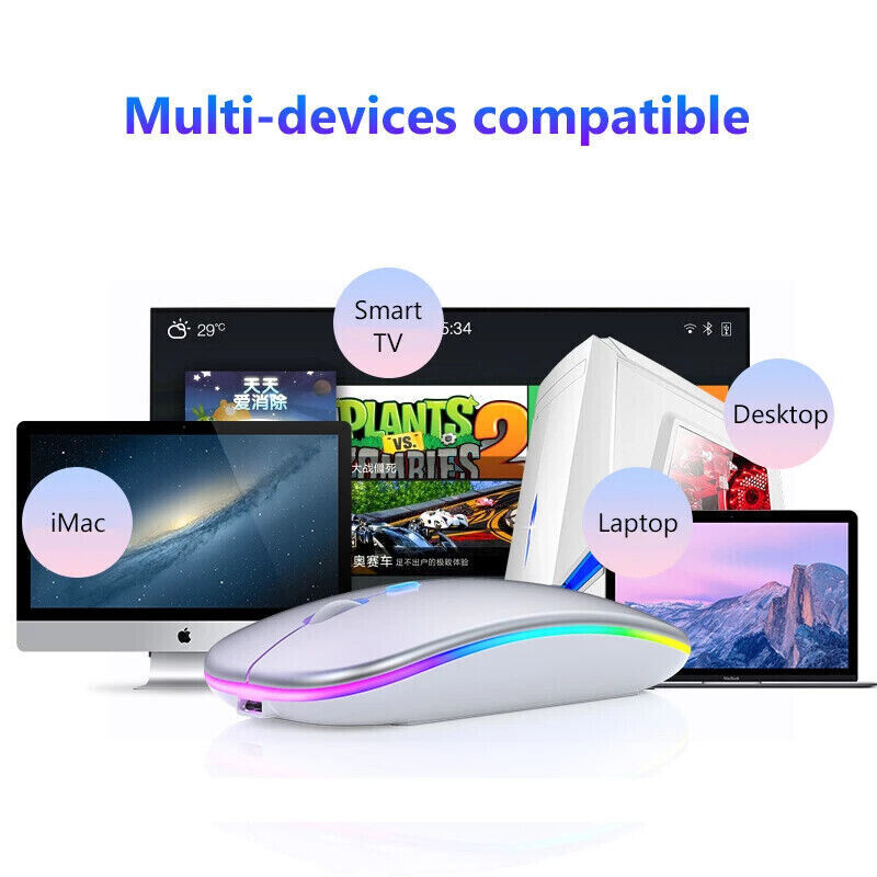 Rechargeable Ergonomic Wireless Mouse for PC/Laptop