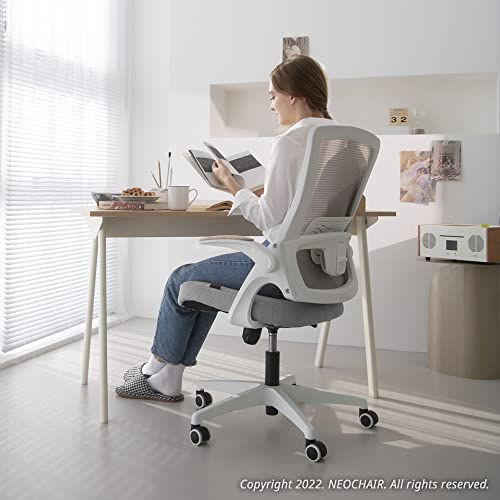 Ergonomic High-Back Mesh Desk Chair (Grey)