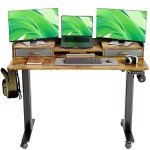 Claiks Adjustable Electric Standing Desk with Drawers