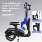 LarkLeaves Ergonomic Office Chair with Footrest