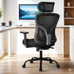 HUANUO Ergonomic High Back Mesh Office Chair