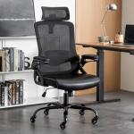 Seevoo High Back Ergonomic Office Chair with Lumbar Support
