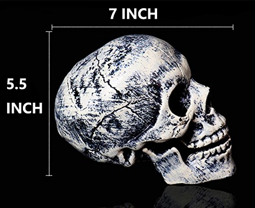 Realistic Skeleton Stakes Halloween Decor for Garden