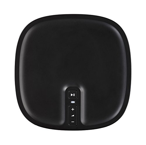 Halloween Sonos Play:1 Wireless Speaker-in Box