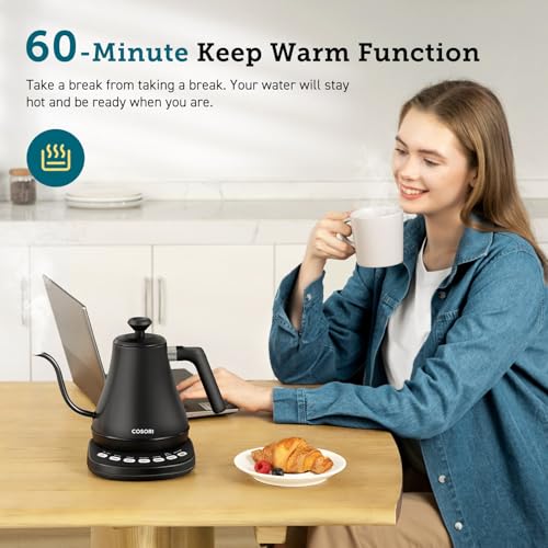 Gooseneck Electric Kettle with Temperature Control