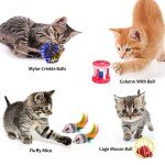 31-Piece Cat Toy Assortment with Tunnel, Feather Teaser