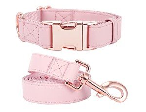 Pink Vegan Leather Dog Collar and Leash Set