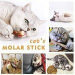 31-Piece Cat Toy Assortment with Tunnel, Feather Teaser