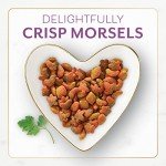 Fancy Feast Dry Cat Food - Chicken & Turkey