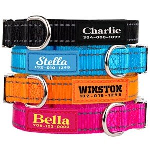 Custom Reflective Dog Collars with Personalized Name & Phone
