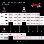 Flexi Retractable Dog Leash - Small Dogs, Black