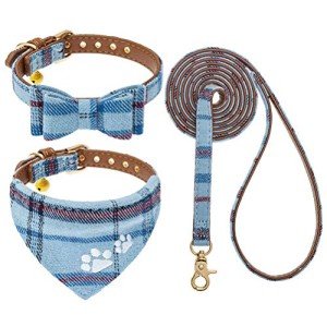 Blue Plaid Puppy Collar and Leash Set with Pawprints, XS