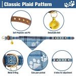 Blue Plaid Puppy Collar and Leash Set with Pawprints, XS