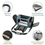 Airline Approved Dog and Cat Carrier, Collapsible, Grey