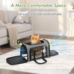 Airline Approved Dog and Cat Carrier, Collapsible, Grey