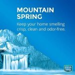 Extreme Odor Control Clumping Cat Litter, Activated Charcoal, 14 lb