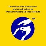 TEMPTATIONS Tasty Chicken Cat Treats, 30 oz. Tub