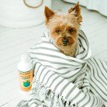 earthbath Oatmeal & Aloe Dog Shampoo - Vanilla & Almond