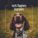 earthbath Oatmeal & Aloe Dog Shampoo - Vanilla & Almond