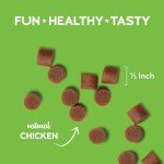 Grain Free Soft & Chewy Chicken Cat Treats